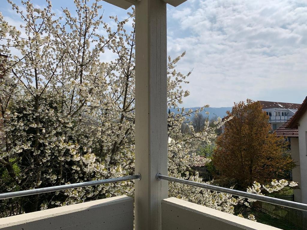 Deluxe Business City Apartments Metzingen Villa Landenberger Luaran gambar